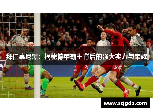 拜仁慕尼黑：揭秘德甲霸主背后的强大实力与荣耀